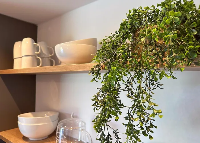 De Stal Hébergement de vacances Rijsbergen